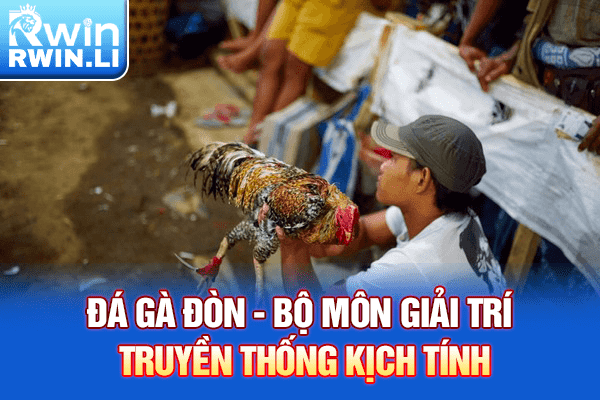 Đá gà đòn - Bộ môn giải trí truyền thống kịch tính