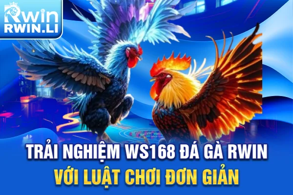 Trải nghiệm WS168 Đá Gà RWIN với luật chơi đơn giản