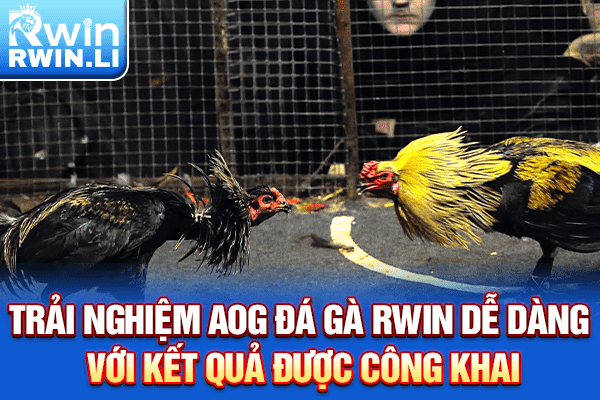 Trải nghiệm AOG Đá Gà RWIN dễ dàng với kết quả được công khai